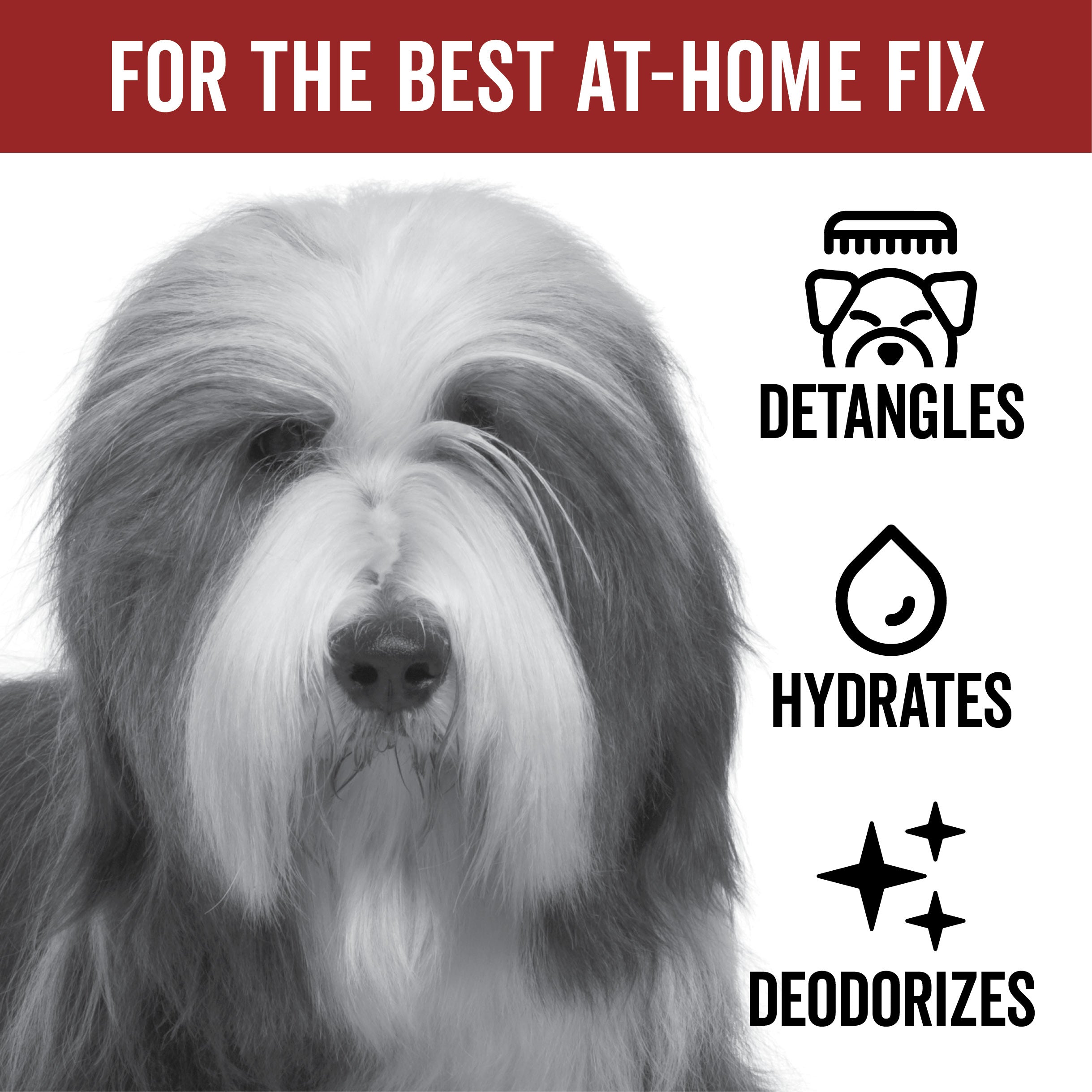 DOGDAYS Leave-In Detangling Spray