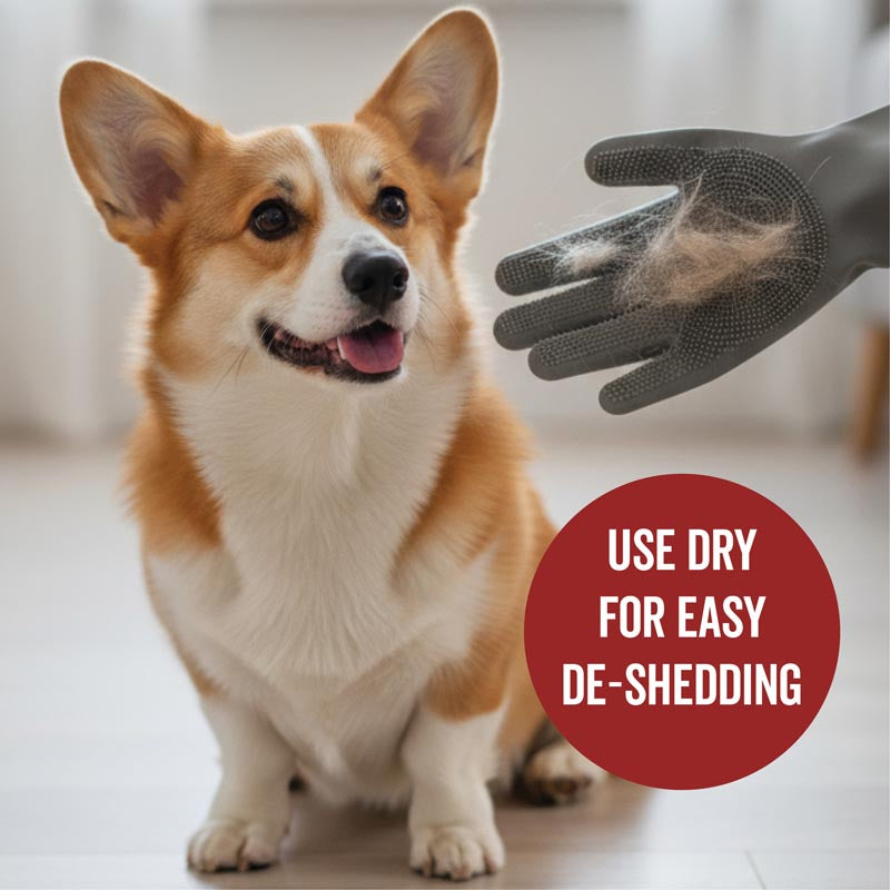 THE SCRUB KIT - Deshedding Shampoo for Dogs Who Shed