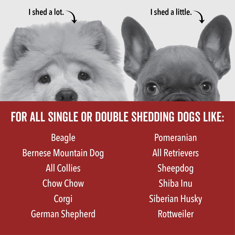 THE SCRUB KIT – Deshedding Shampoo & Dual Grooming Gloves Bundle for Dogs Who Shed