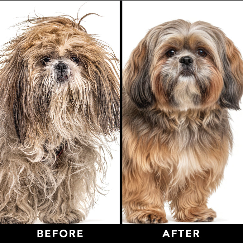THE ULTIMATE DOG GROOMING DUO