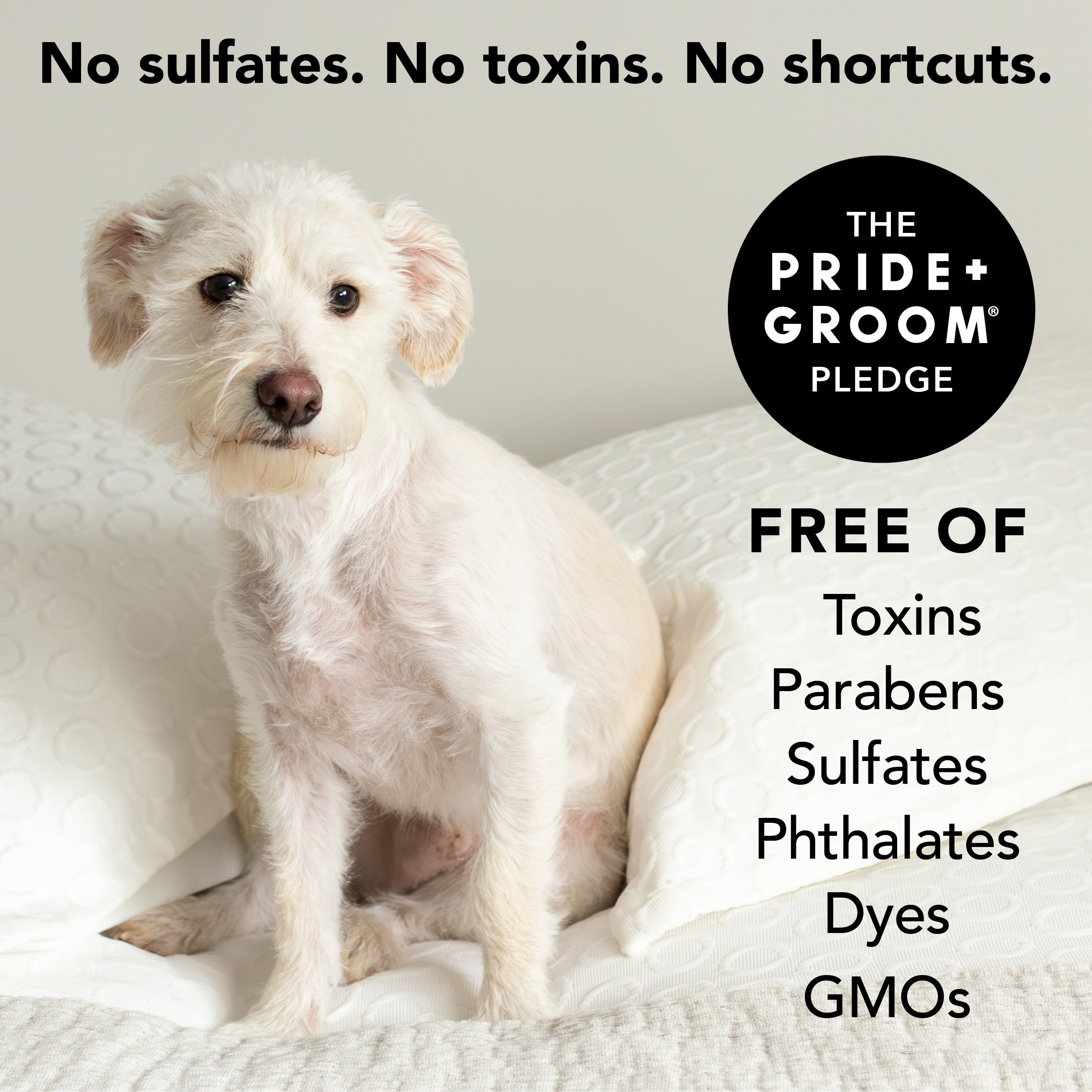 THE NON SHEDDER GALLON REFILL
