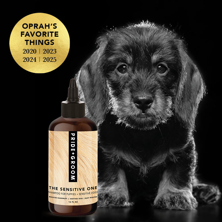 THE SENSITIVE ONE Dog Shampoo