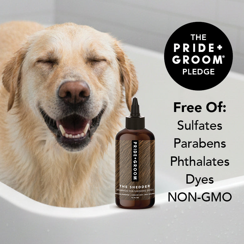 THE SHEDDER Dog Shampoo