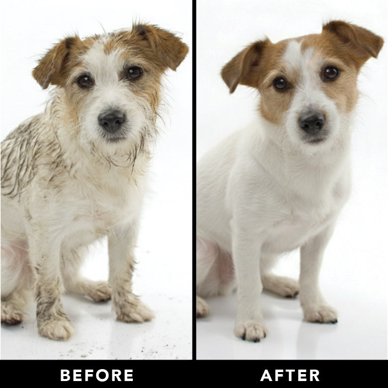 THE SHEDDER Dog Shampoo