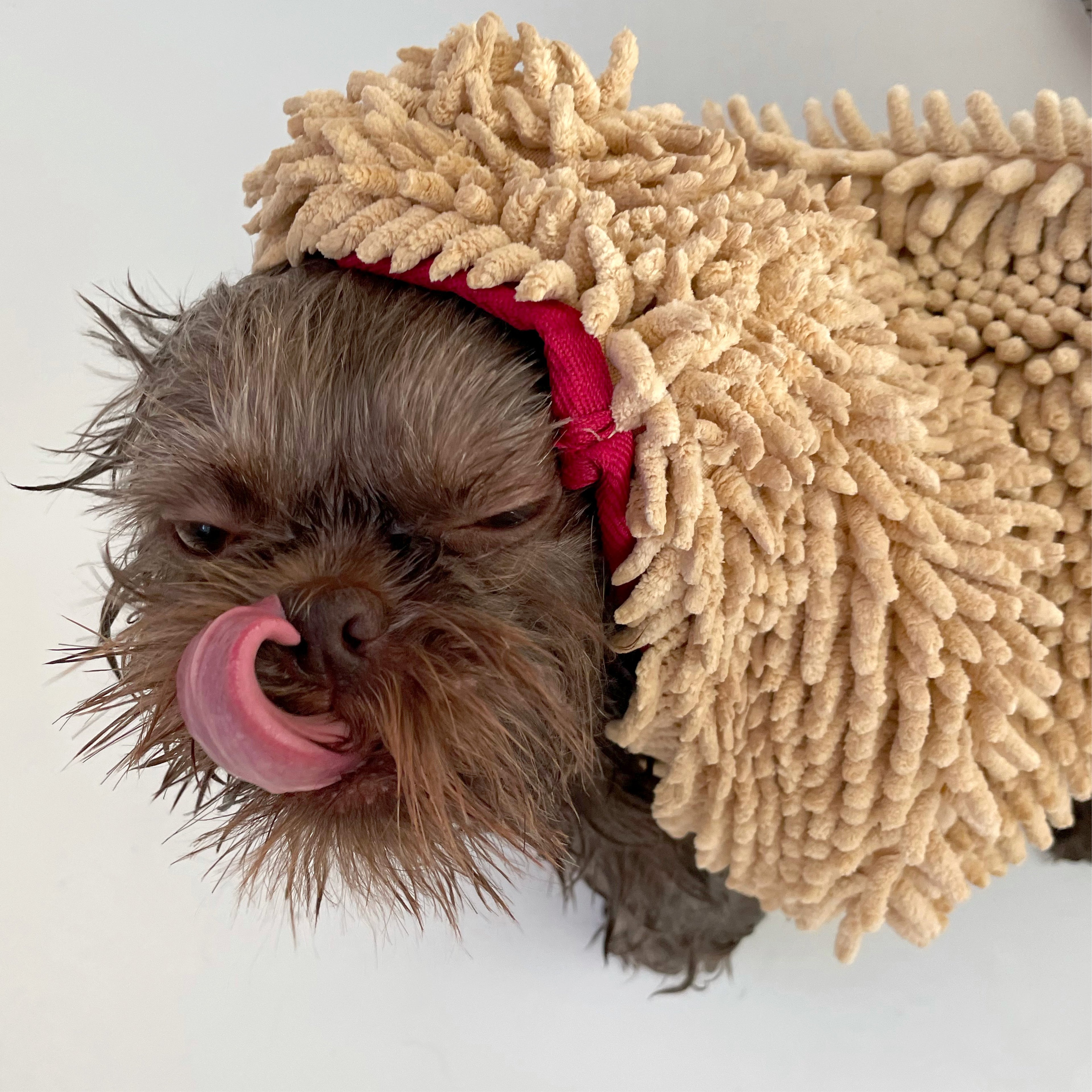 THE TOWEL | Dog towel with hand pockets. Ultra-absorbent microfiber. Holds 7x its weight in water.