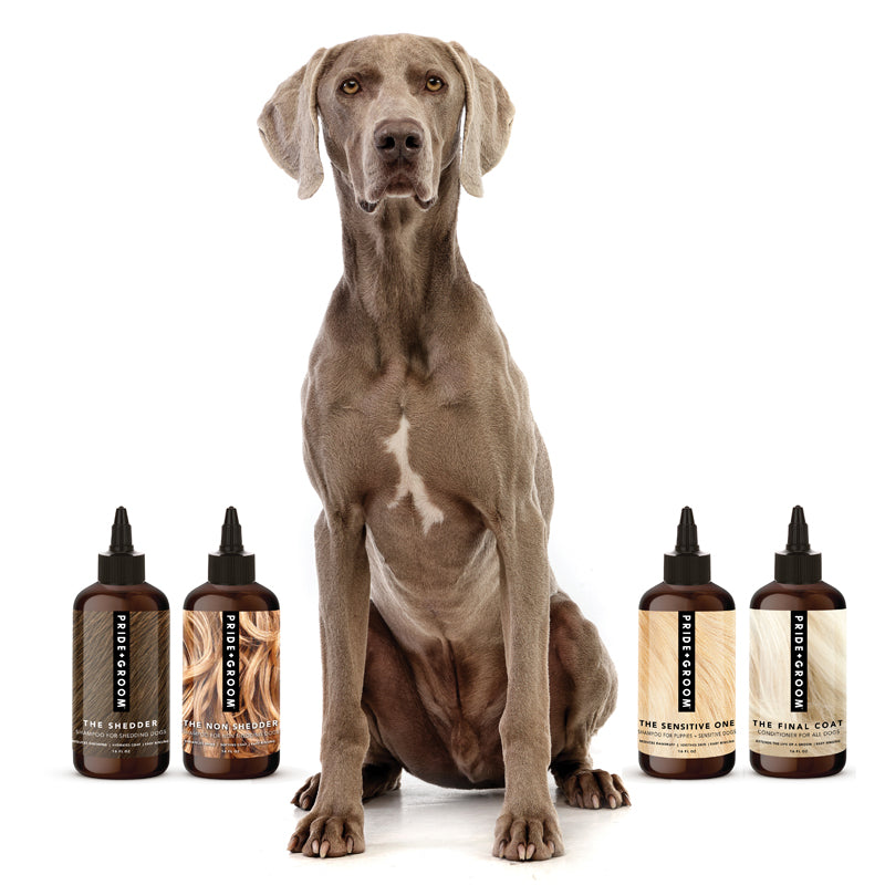 THE WASH SAMPLE PACK — Try PRIDE+GROOM&