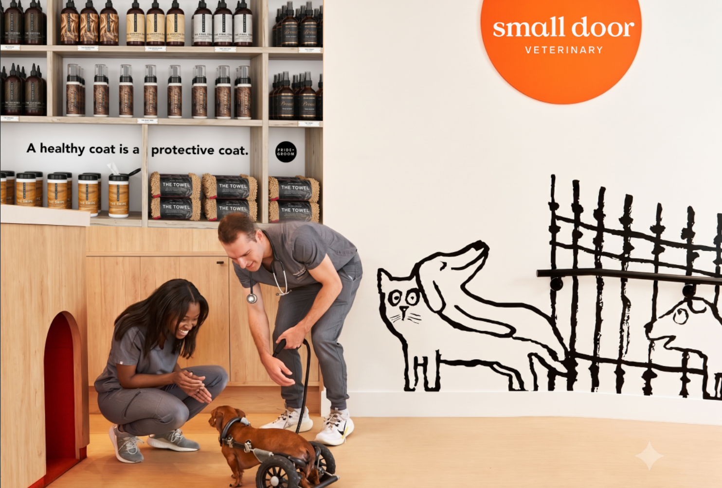 A man and a woman in matching gray veterinary uniforms crouch and bend over a small dachshund in a wheelchair inside a veterinary clinic. The room has white walls with a black line drawing of a cat and fence, an orange circular 'small door VETERINARY' logo, and shelves of bottles and boxes in the background.