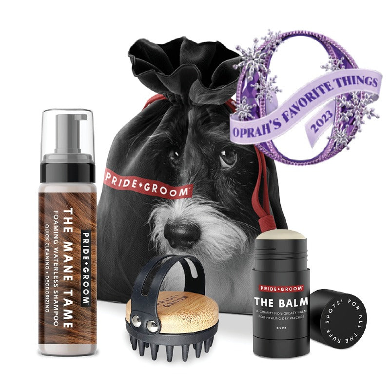 Dog grooming shop tool kit