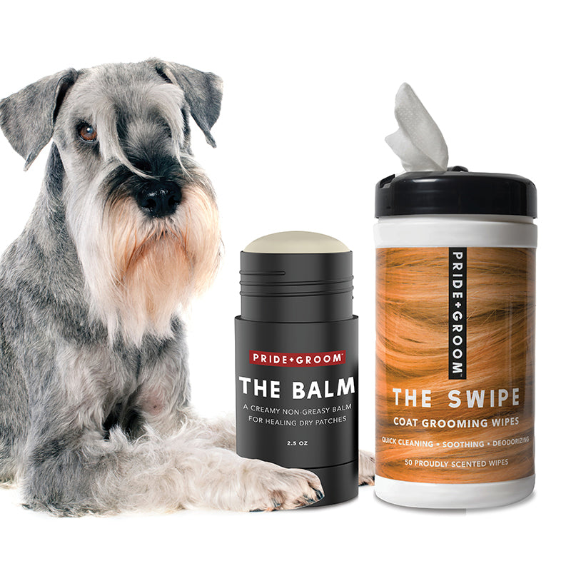THE PAW BUNDLE — All-Natural Dog Paw Care Set with Wipes & Balm