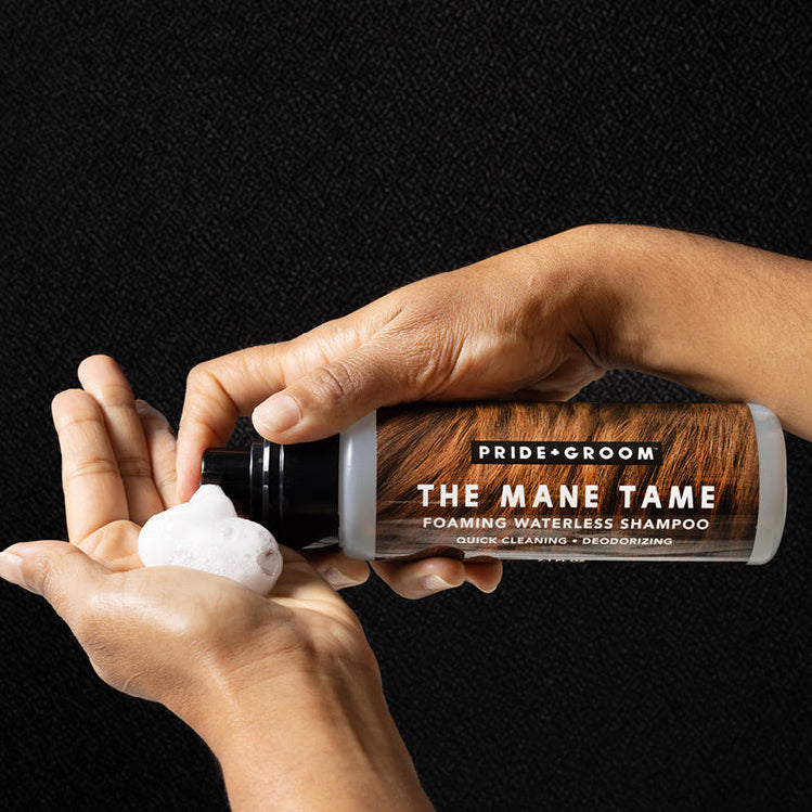 waterless cat shampoo, dry shampoo for cats, pets dry shampoo, waterless shampoo for pets, dog waterless shampoo, waterless shampoo for dogs