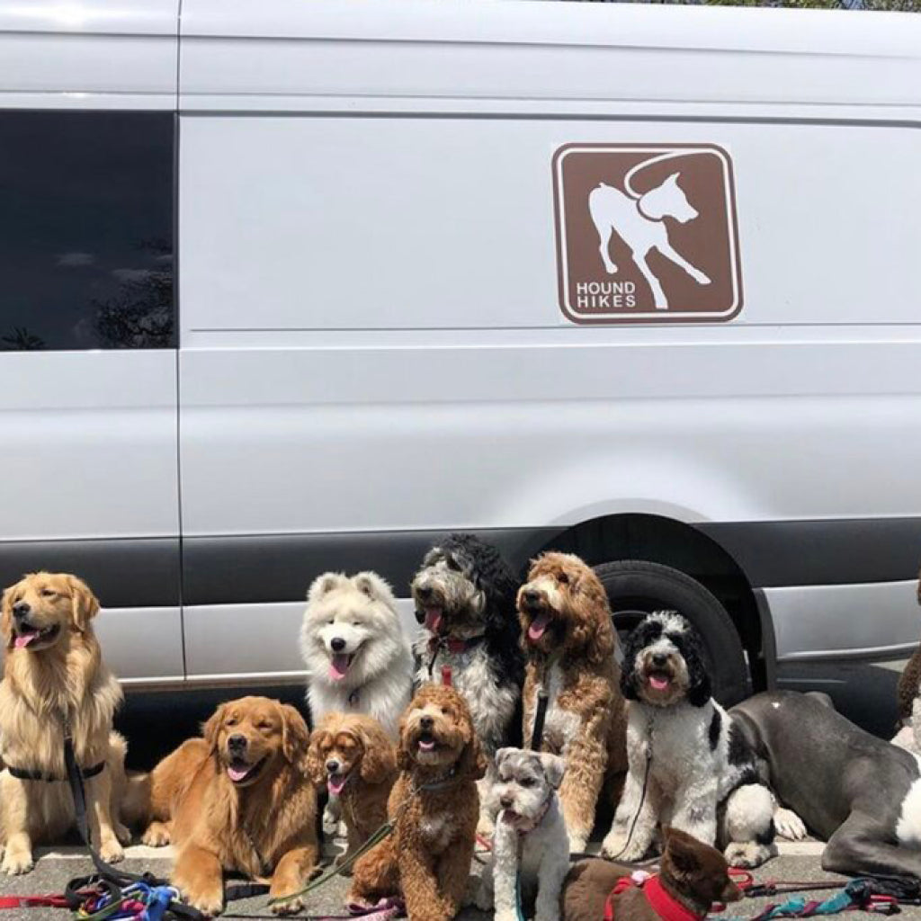 RESEARCH!  RESEARCH! RESEARCH! ULTIMATE DOG TRAINING TIPS!