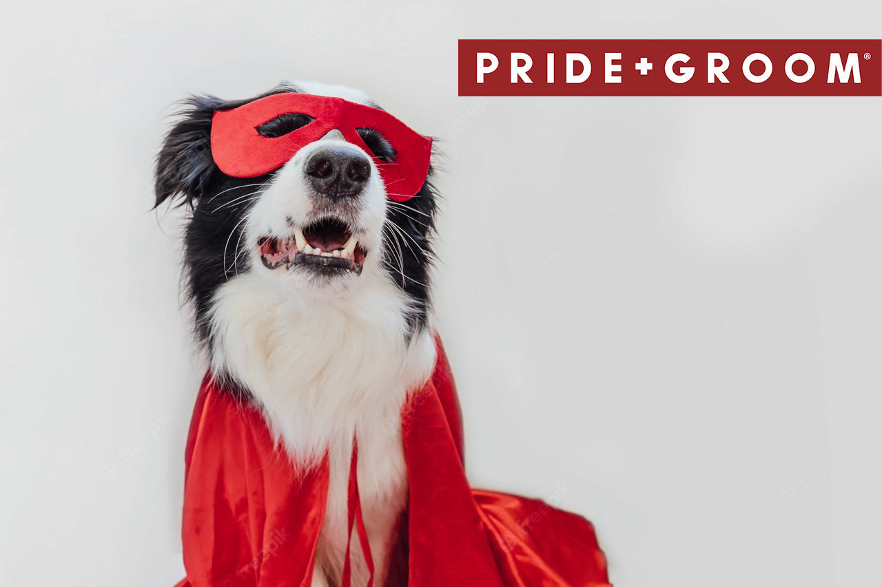 Black-and-white dog wearing a red superhero mask and cape, sitting against a light background with PRIDE+GROOM logo