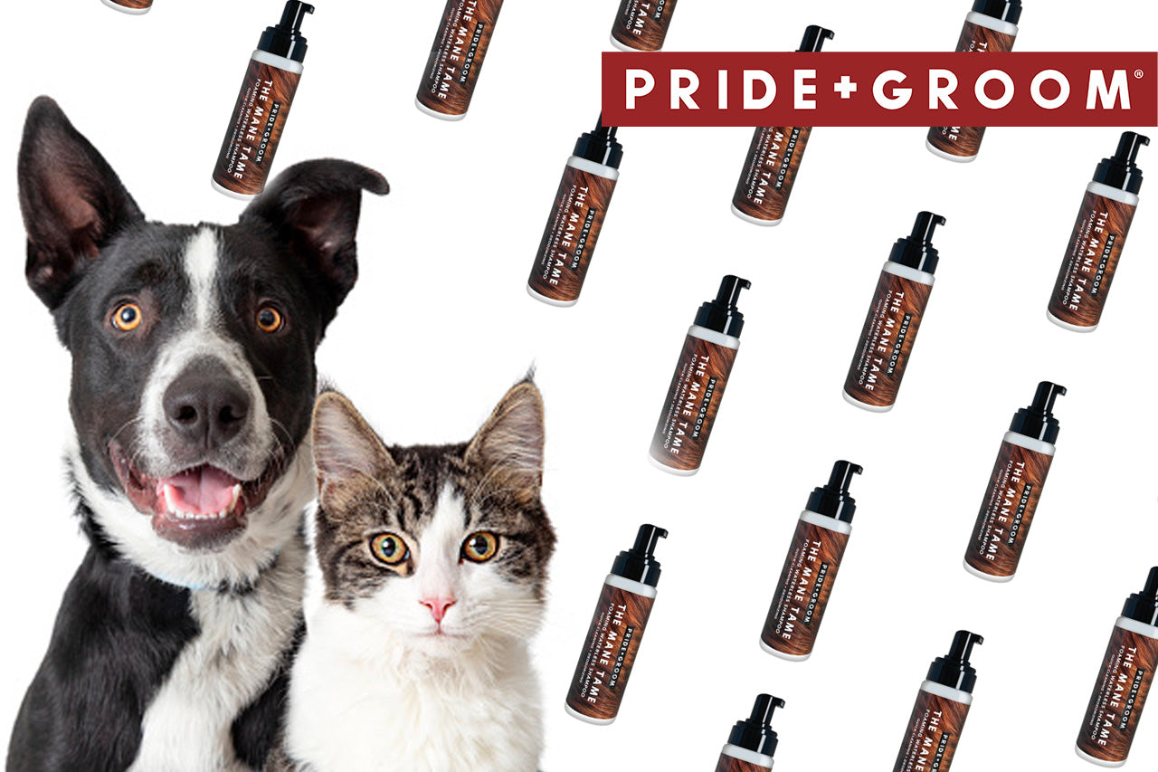 Dog and cat posed with repeating waterless shampoo bottles and PRIDE+GROOM logo on white background