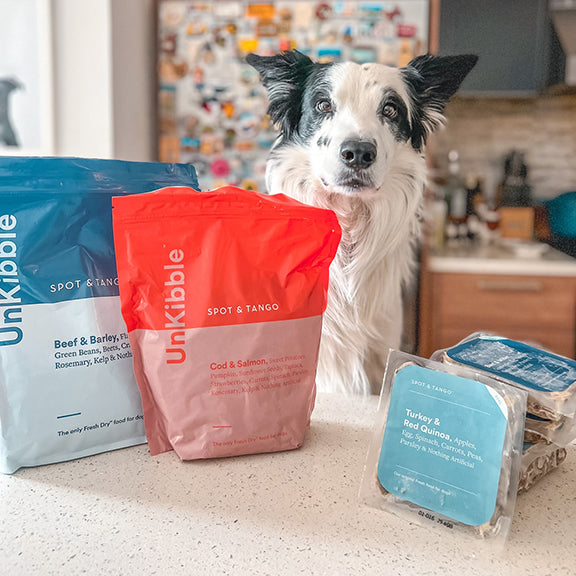 Black-and-white dog sitting behind Unkibble and Spot and Tango dog food bags on a kitchen counter