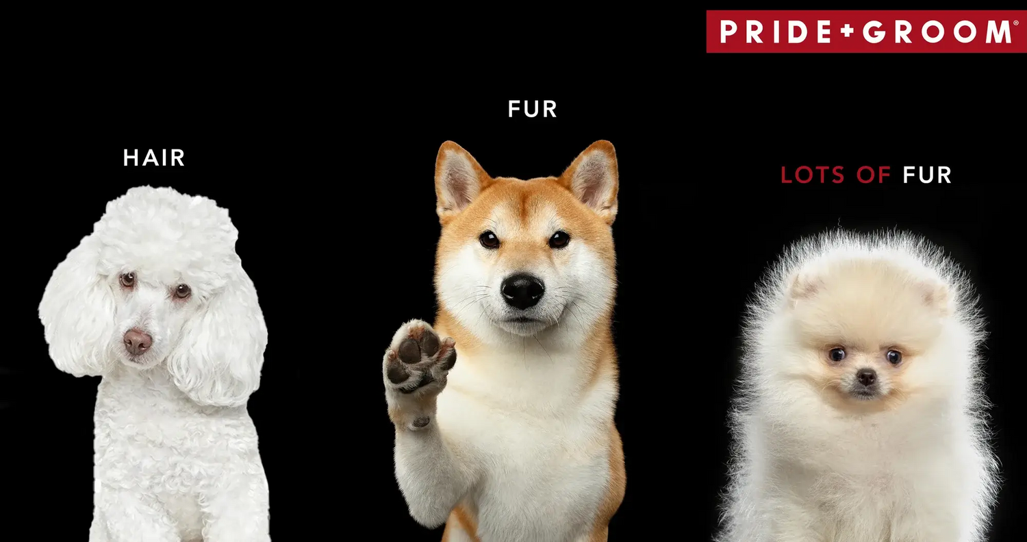 Photo comparison showing three dog coat types labeled Hair, Fur, and Lots of Fur