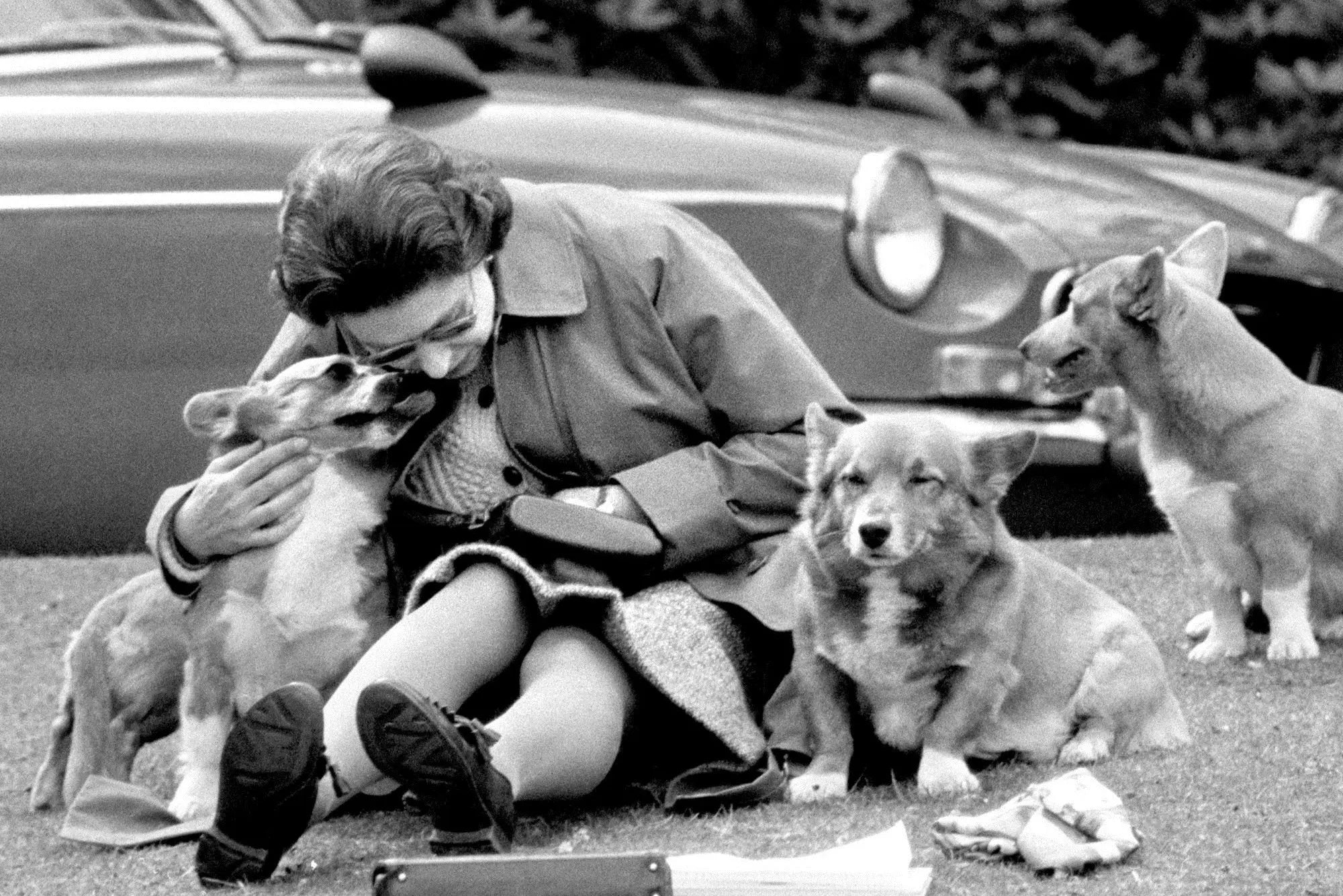 Woman sitting on grass hugging three corgis in front of a parked car, black-and-white photo