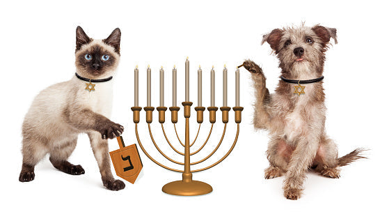 Siamese cat holding a dreidel and scruffy dog raising a paw beside a menorah on a white background