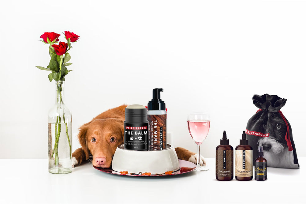 Brown dog resting head on a table beside grooming products, a glass of rosé and a vase of red roses in a Valentine’s Day table setting