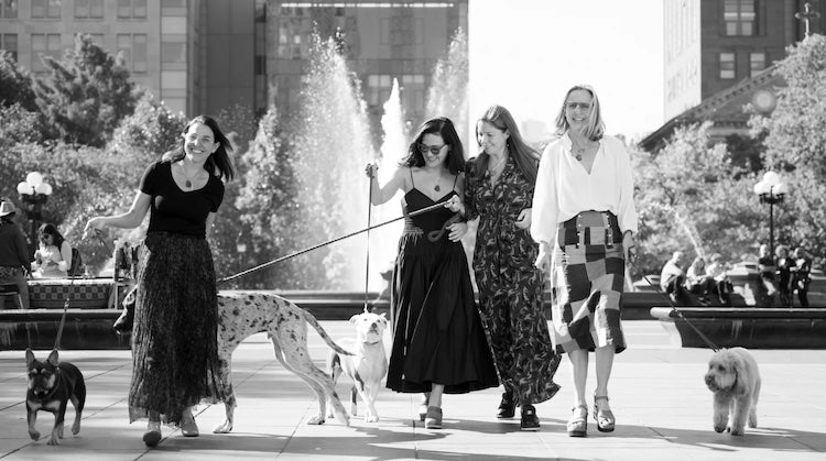 Four women walking dogs together in a city plaza with a fountain