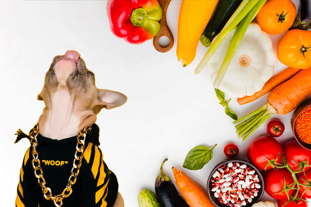 Dog in black-and-yellow WOOF hoodie and gold chain looking up beside fresh vegetables on white background