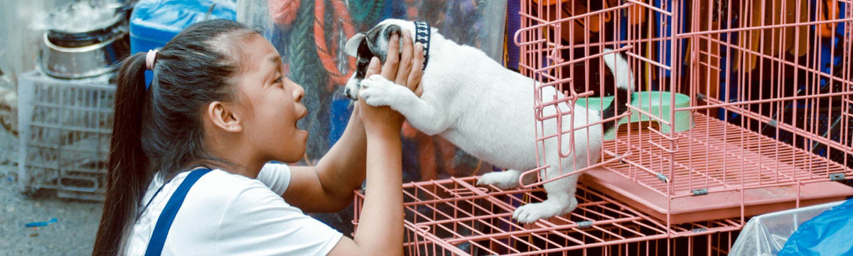 Young girl gleefully holds a white-and-black puppy reaching out of a pink wire cage at an outdoor adoption stall
