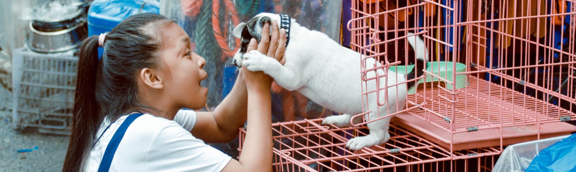 Young girl gleefully holds a white-and-black puppy reaching out of a pink wire cage at an outdoor adoption stall