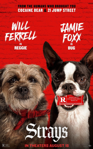 Two dogs on a red movie-poster with large title ‘Strays’, actor names Will Ferrell and Jamie Foxx, and ‘In theaters August 18’