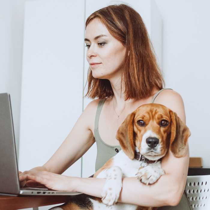 Woman holding a beagle while working on a laptop at a home desk