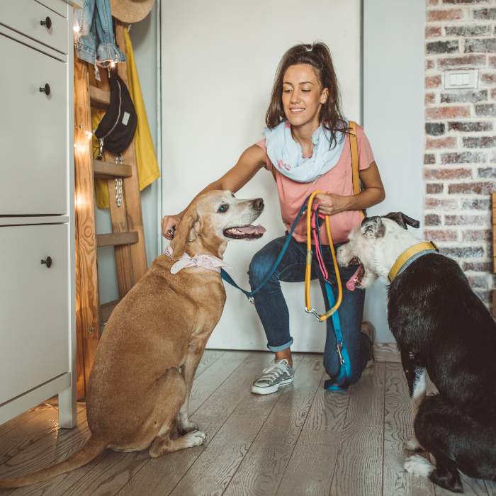 Woman kneeling and holding colorful leashes while preparing two dogs for a walk in a home’s entryway