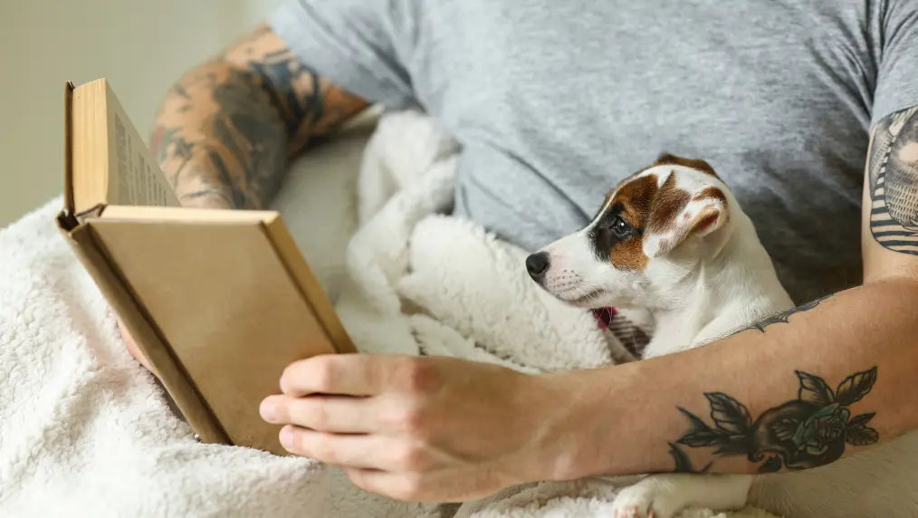 Person with tattooed arms reading a book with a small white-and-brown puppy on their lap on a cozy blanket