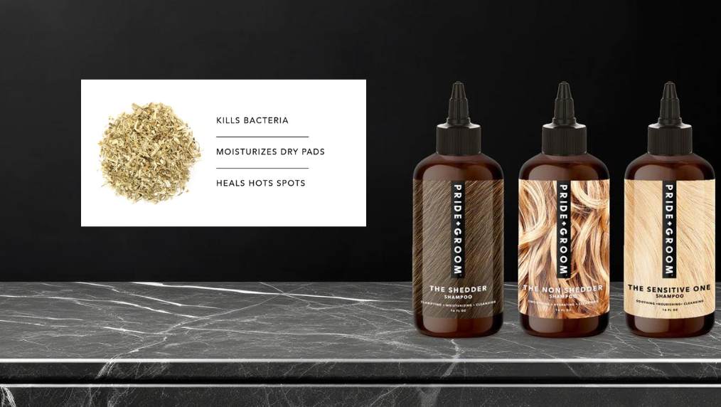 Three PRIDE+GROOM shampoos on a marble counter beside a white panel: Kills bacteria; Moisturizes dry pads; Heals hot spots