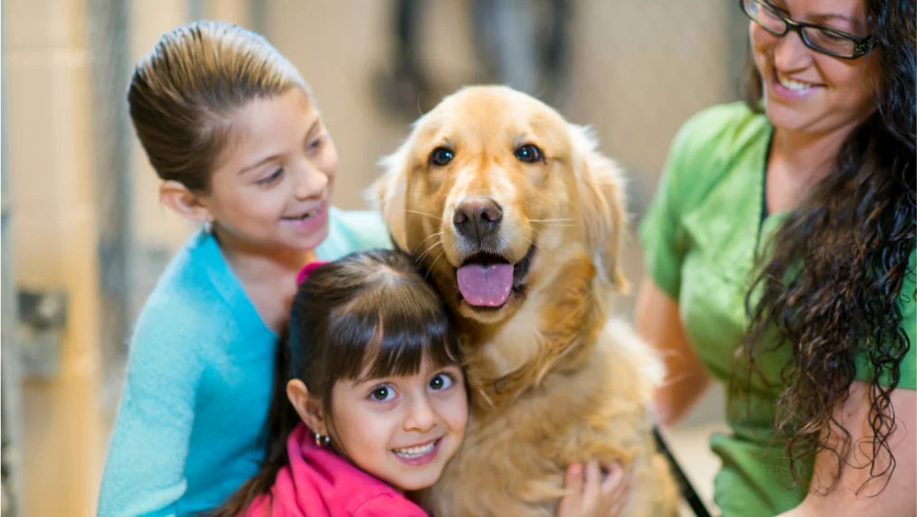 Two girls hugging a happy golden retriever while a smiling caregiver in green scrubs looks on in a shelter setting