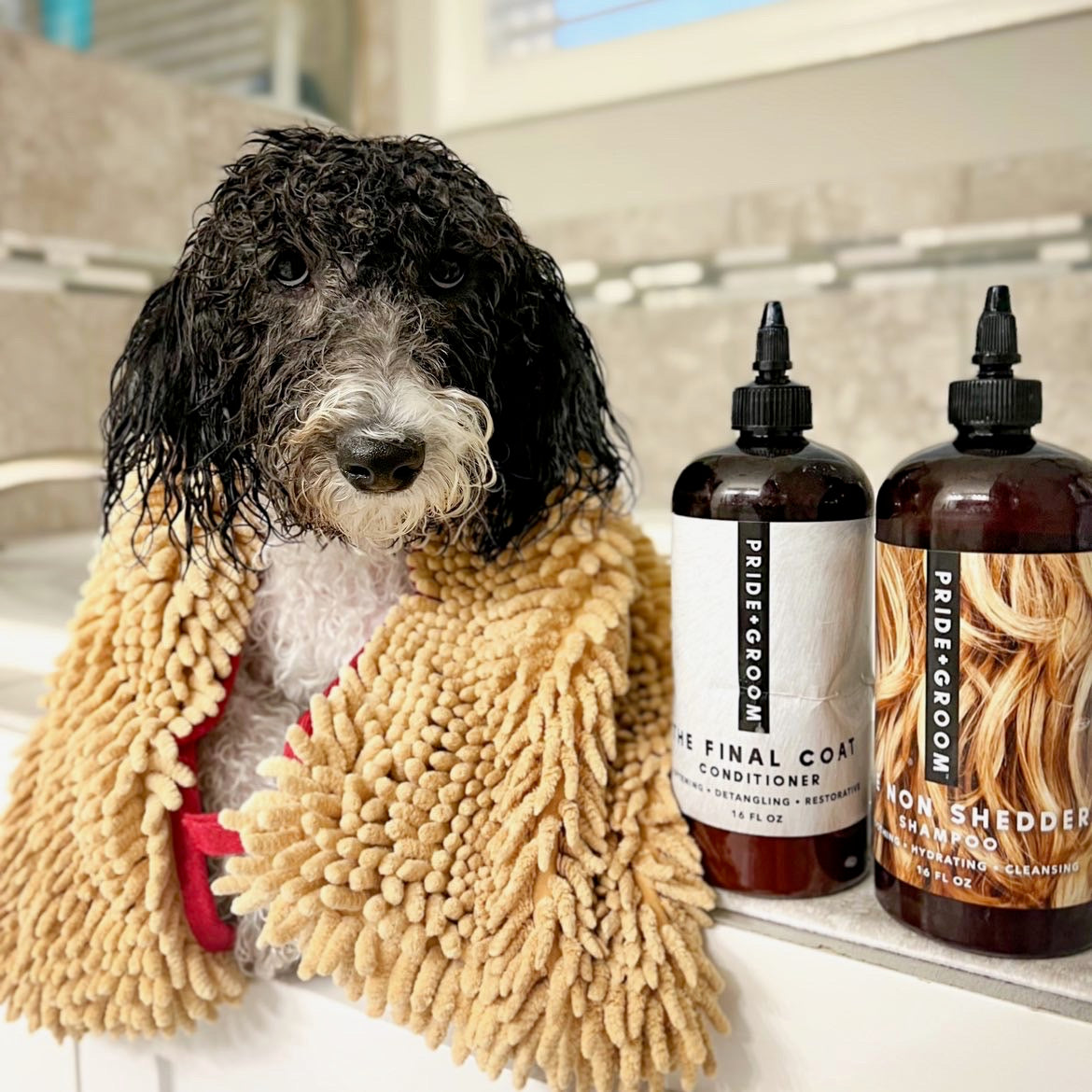 Wet black-and-white dog wrapped in a tan towel beside two PRIDE+GROOM bottles: Final Coat conditioner and Non Shedder shampoo