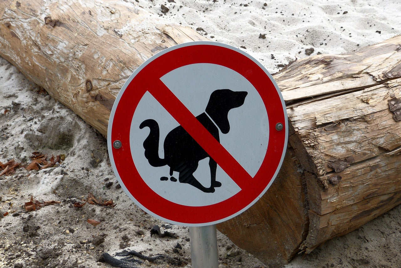 No-dog-pooping sign posted in a sandy area in front of a large driftwood log