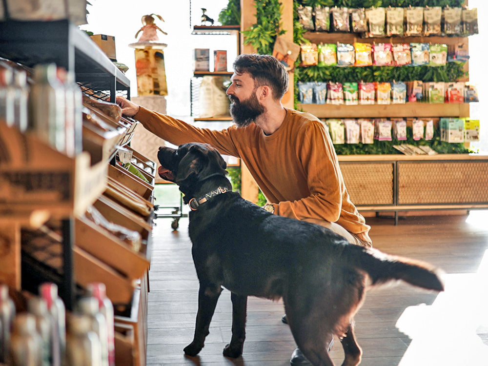 Bearded man kneeling in a pet store as a black Labrador sniffs treat bins near sunlit product shelves