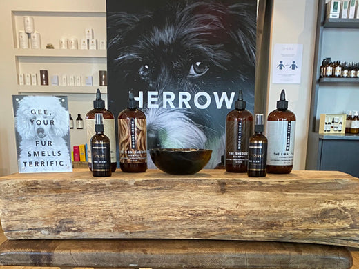 Display of brown pet grooming bottles on a counter with a dog poster and a sign reading Gee your fur smells terrific