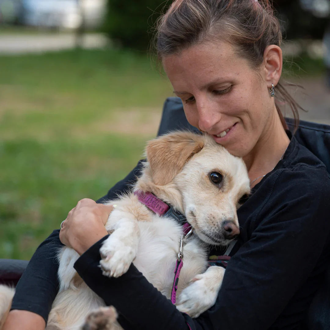 Woman holding a small cream-and-white dog in her lap outdoors, dog wearing a purple collar and leash