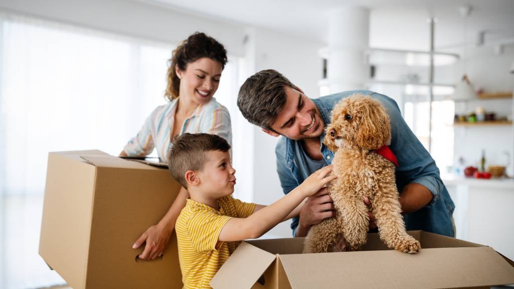 Family unpacking moving boxes while greeting their small curly-haired dog in a bright kitchen
