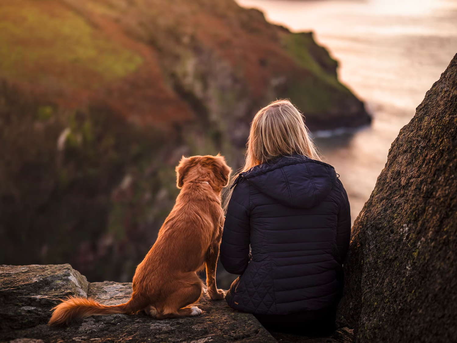 Person sitting with a golden-brown dog on a coastal cliff, both looking out over the sea at sunset