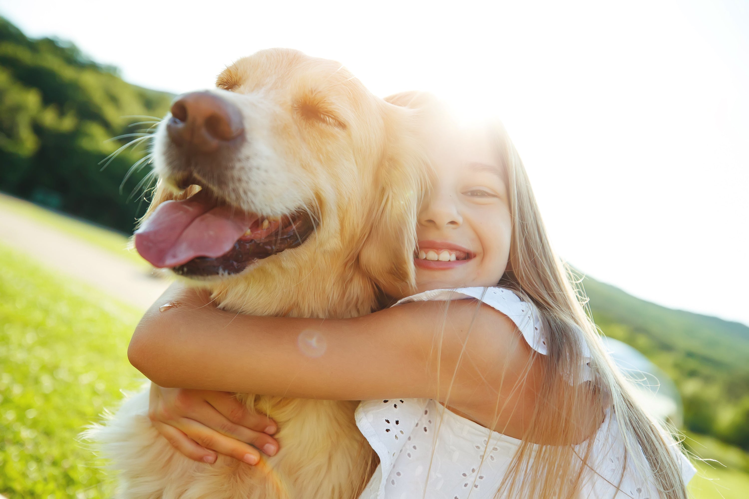 young girl hugging golden retriever. sitting on grass on beautiful sunny day. girl and dog are both smiling and look happy.