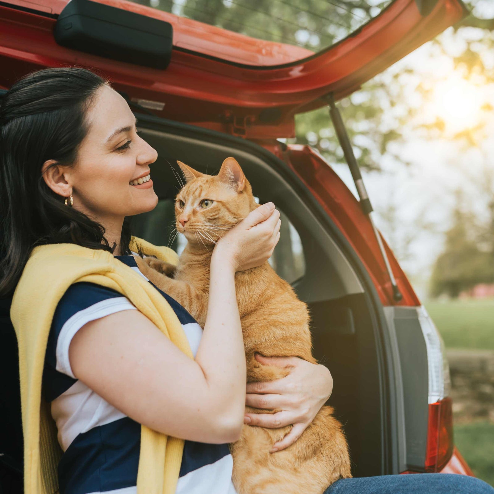 Travel Cat  : Unforgettable Journeys with Your Feline Companion
