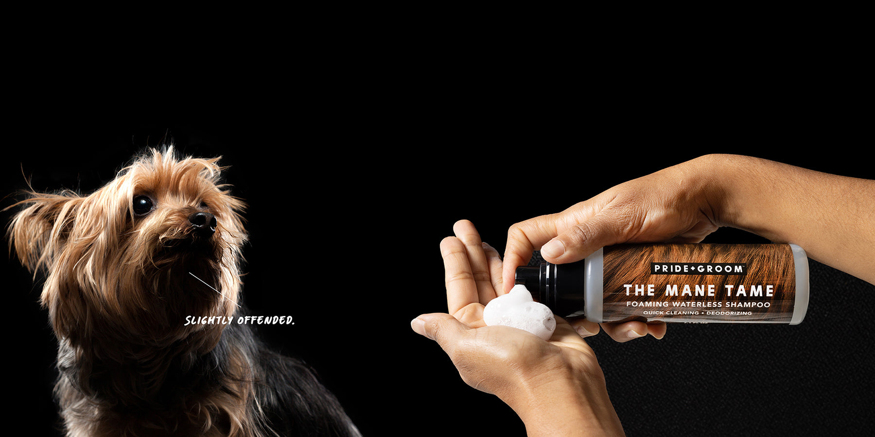 Dry Shampoo for Dogs: How to Use, Benefits & More 