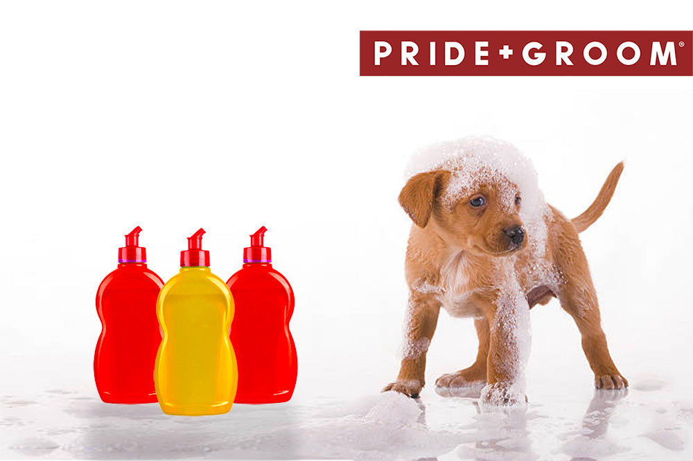 How Safe Is Dish Soap For Dogs? - Pride And Groom