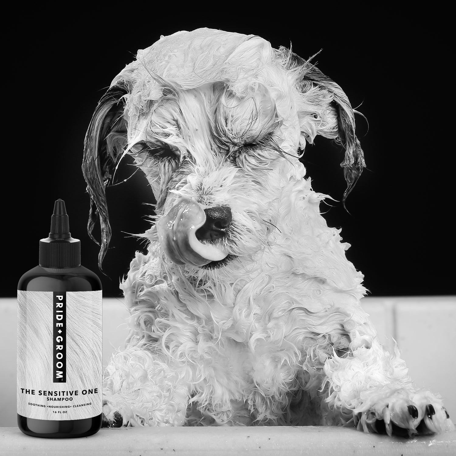 THE SENSITIVE ONE Hypoallergenic Dog &amp; Puppy Shampoo with Hemp Oil, Aloe &amp; Oatmeal for Sensitive Skin