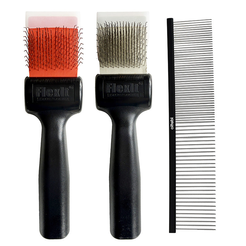 THE BRUSH + FINISH DUO