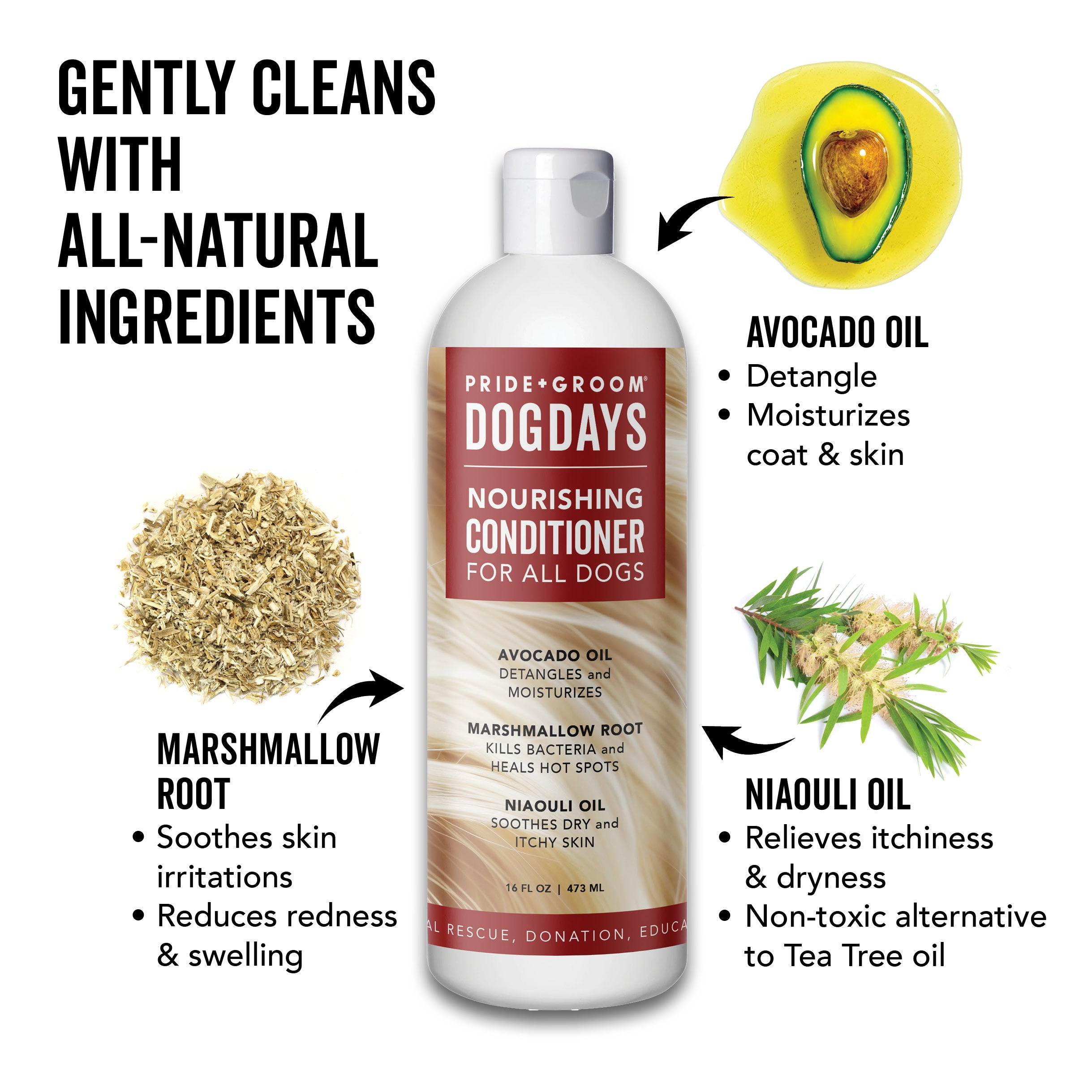 DOGDAYS Moisturizing Dog Conditioner