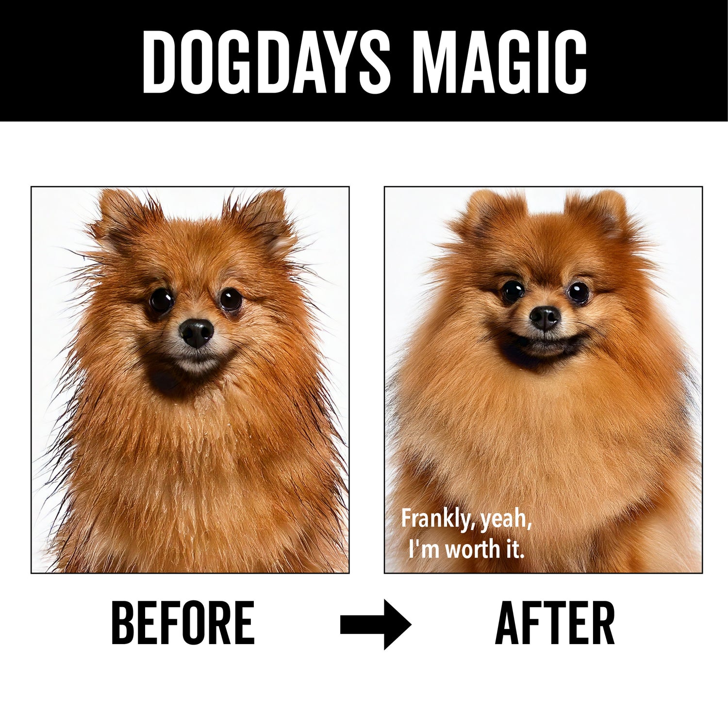 DOGDAYS Moisturizing Dog Conditioner