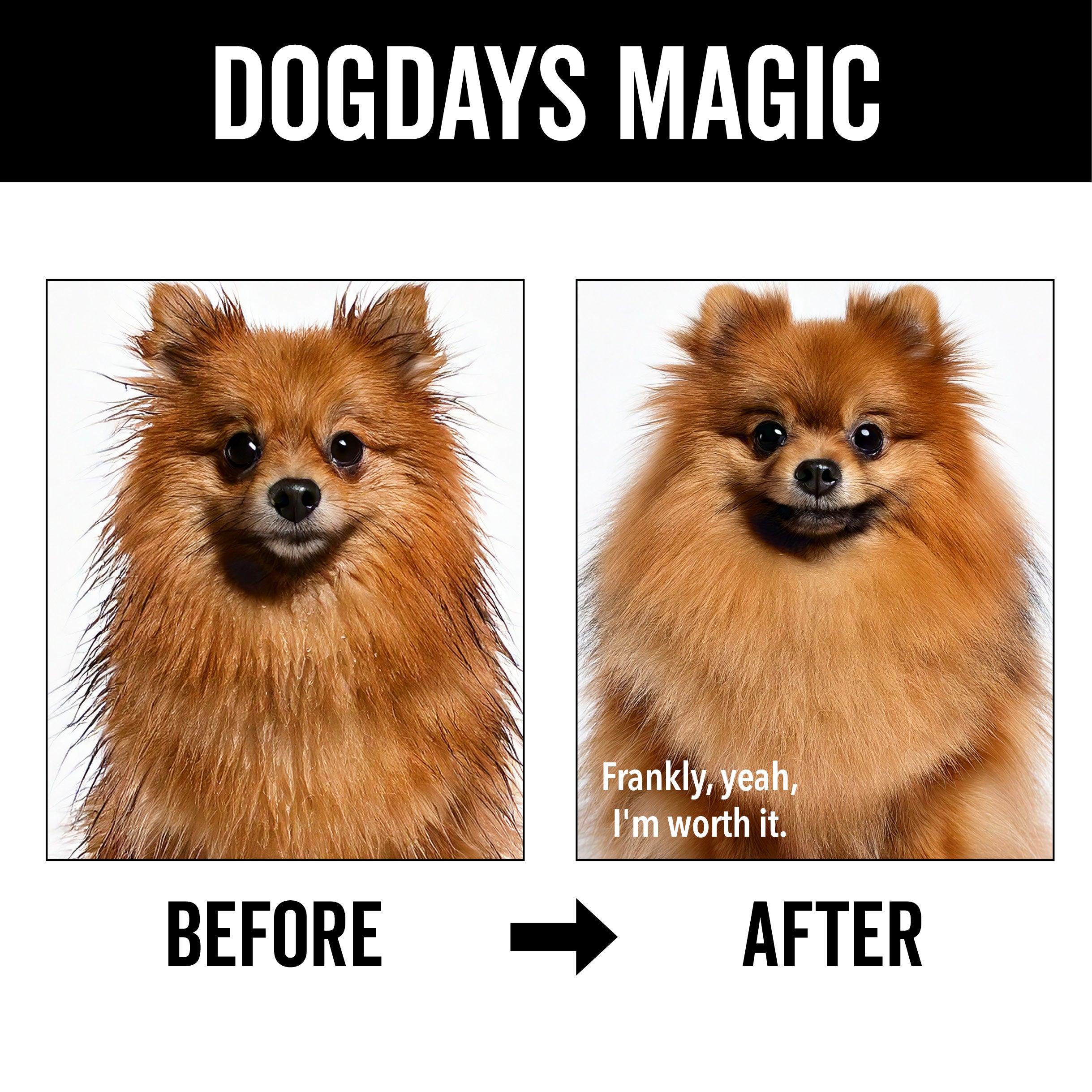 DOGDAYS Moisturizing Dog Conditioner