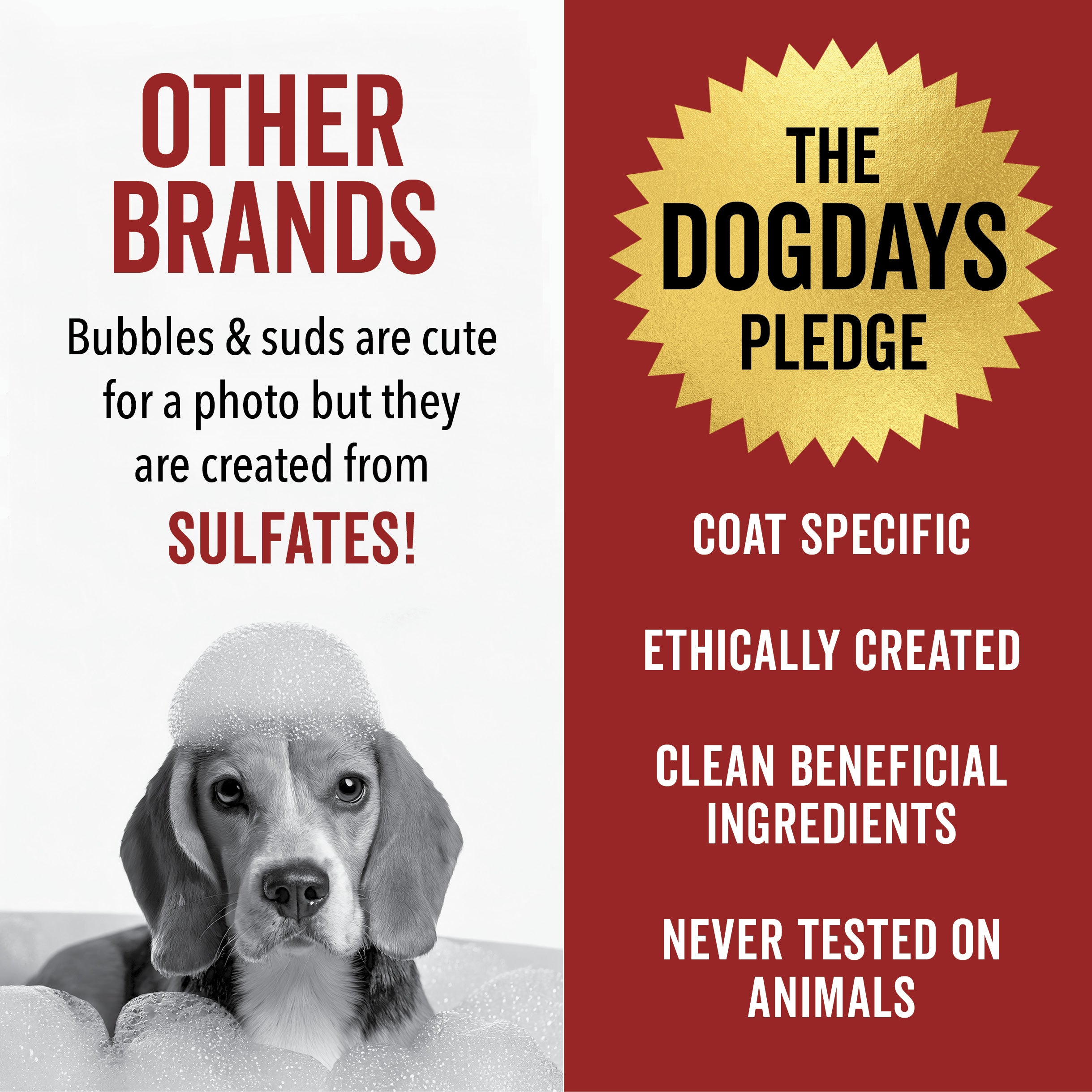 DOGDAYS Moisturizing Dog Conditioner