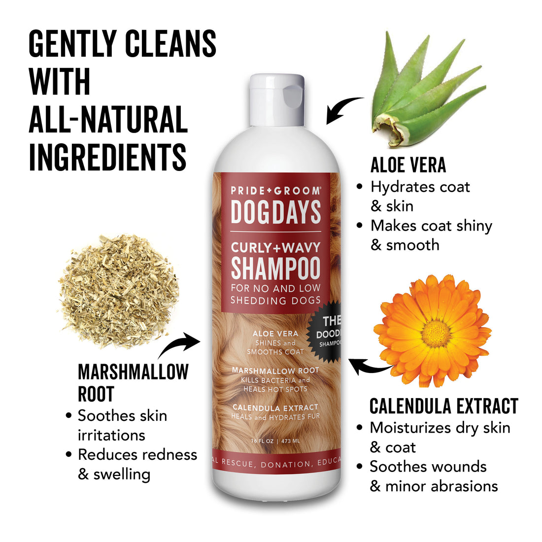 DOGDAYS Hydrating Dog Shampoo